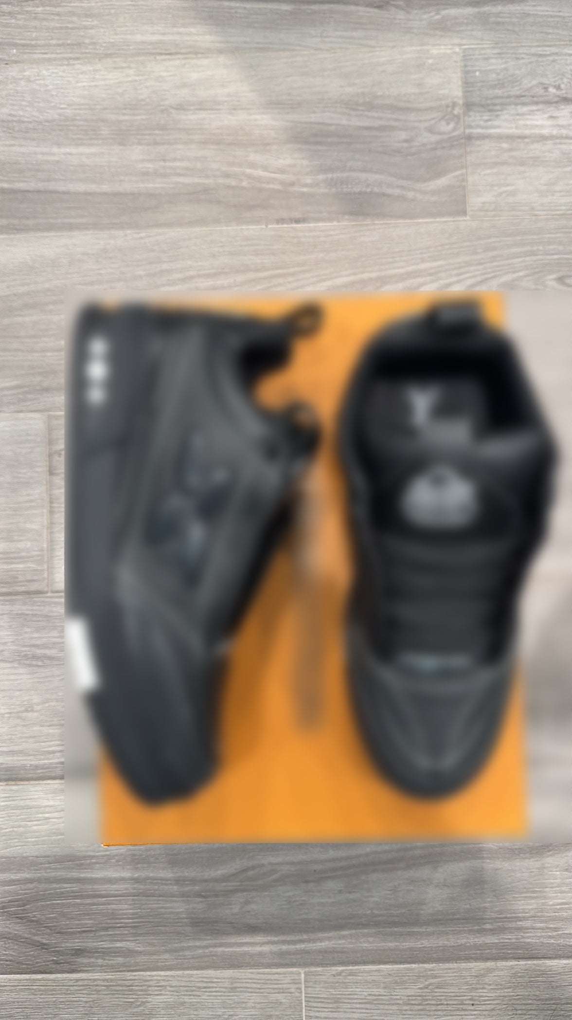 (LNV) Skate